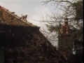 Le chat sur le toit,1979, Archives RTS