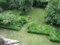 Coup d'oeil sur le jardin depuis l'étage