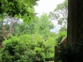 Vue du jardin depuis l'entrée
