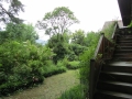 Vue du jardin