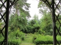 Le jardin, vu depuis la pergola