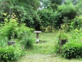 La fontaine, vue depuis la pergola