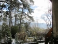 Vue du jardin depuis l'entrée